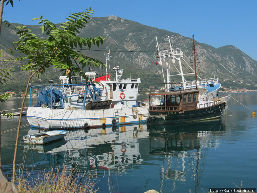 Далее — корабли в Боке Которской Область Котор, Черногория