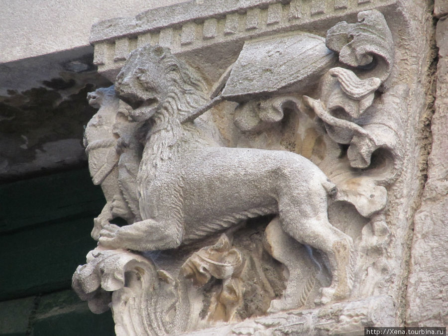 Венецианские львы присутствуют в Которе в огромном количестве. Область Котор, Черногория
