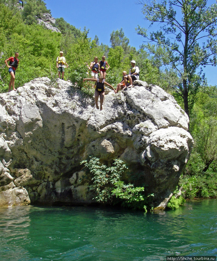 Валик прыгает с камня Далмация, Хорватия
