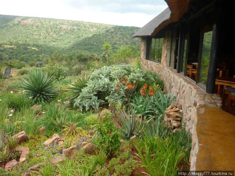 Iketla Lodge. Другие фотографии оттуда — в части 1. Национальный парк Крюгер, ЮАР