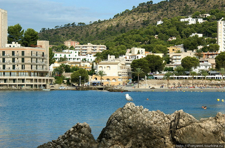 Playa Palmira Пагуэра, остров Майорка, Испания