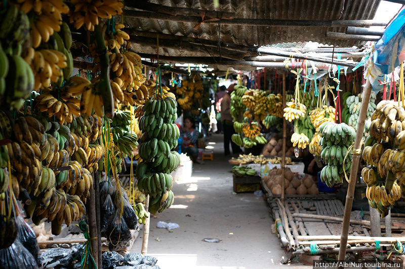 Рынок — это, конечно, прежде всего фрукты. Главным образом, бананы. Целые ряды бананов всех видов. Свайриенг, Камбоджа
