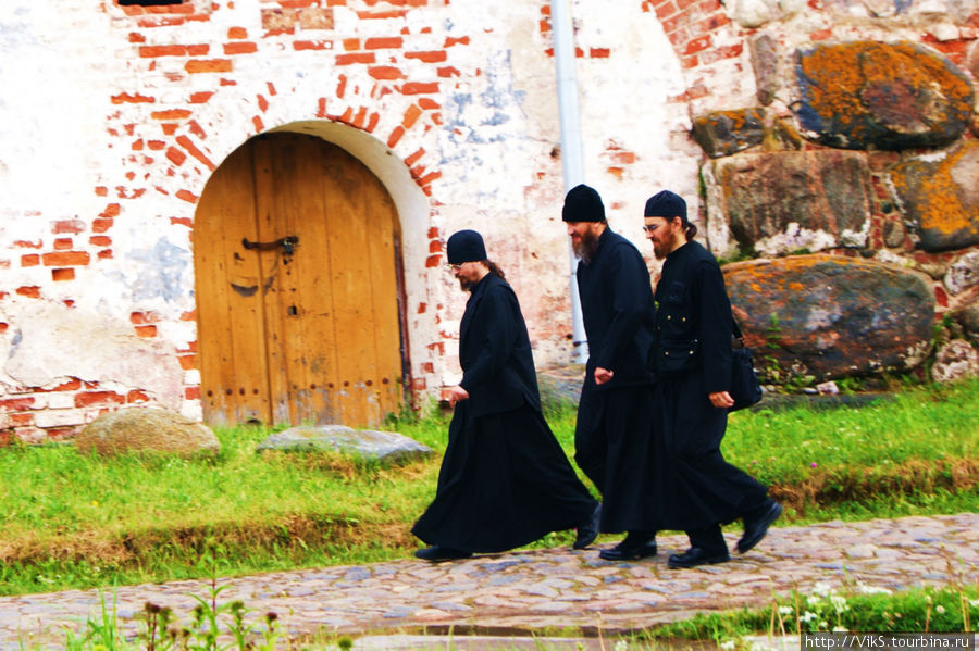 Обитатели монастыря. Соловецкие острова, Россия