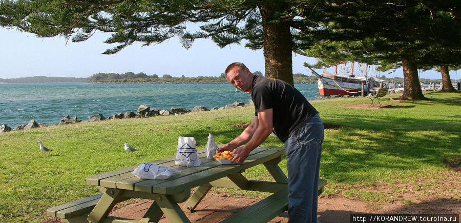 Тысячи туристов, приезжающих сюда на отдых, могут перекусить в любой из сотен точек питания. Можно зайти в небольшой ресоранчик, выбрать рыбу по вкусу, ее приготовят через несколько минут.Вдоль побережья установлены столики, где всегда можно перекусить на свежем воздухе. Голд-Кост, Австралия