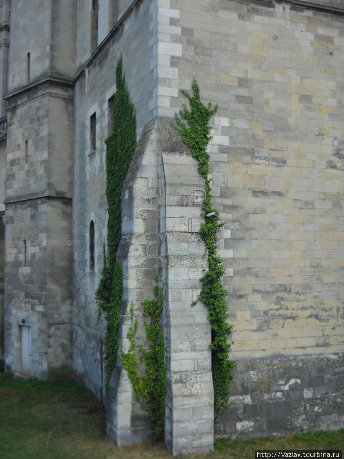 Мшистая стенка Сен-Жермен-ан-Ле, Франция