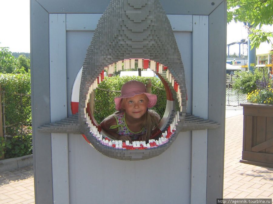 Вот такая не страшная акула Гюнцбург, Германия