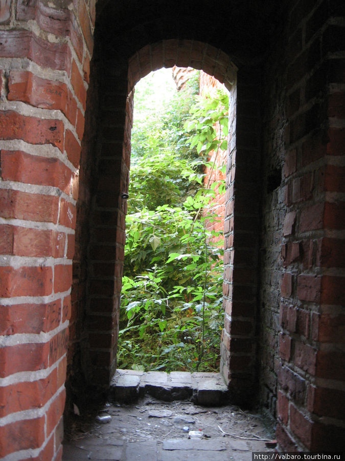 4 дня в Торуни: руины Дыбовского замка. Торунь, Польша
