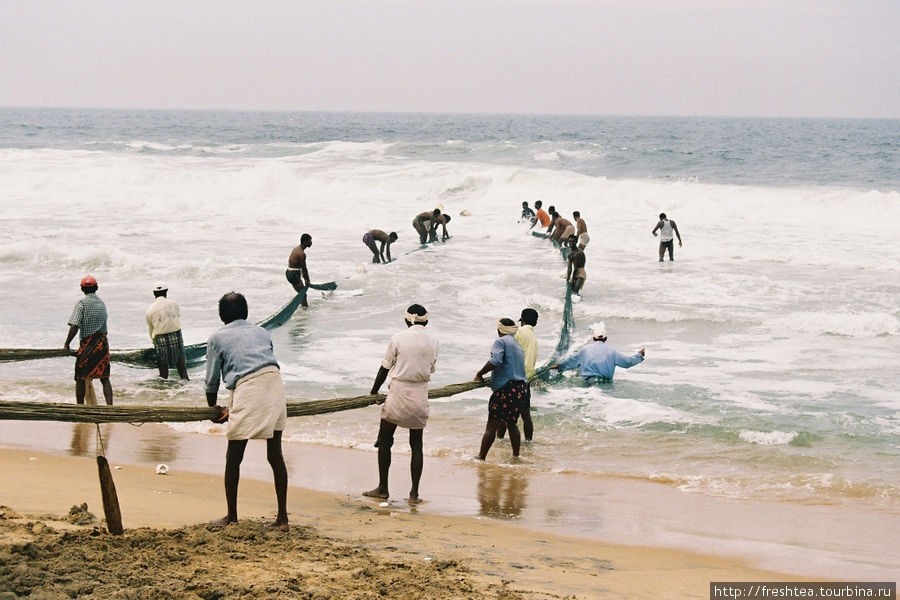 В сентябре у побережья Кералы океан довольно бурный, так что нужна особая сноровка, чтобы при выборке сети не сшибло волной. Ковалам, Индия