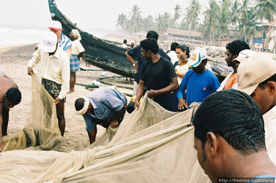 Вдалеке, в дымке из мелких солёных брызг видны жилища рыбаков под кокосовыми пальмами и знаменитые керальские длинноносые лодки. Ковалам, Индия