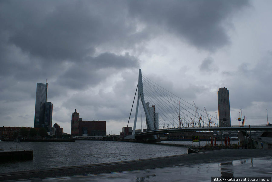 Мост Эразма (Erasmusbrug) Роттердам, Нидерланды