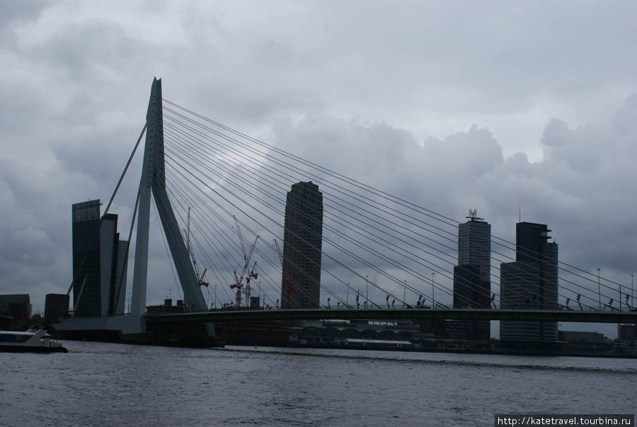 Мост Эразма (Erasmusbrug) Роттердам, Нидерланды