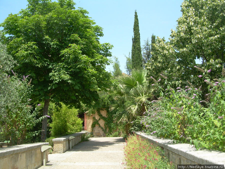 Сад Калисто и Мелебеи Саламанка, Испания