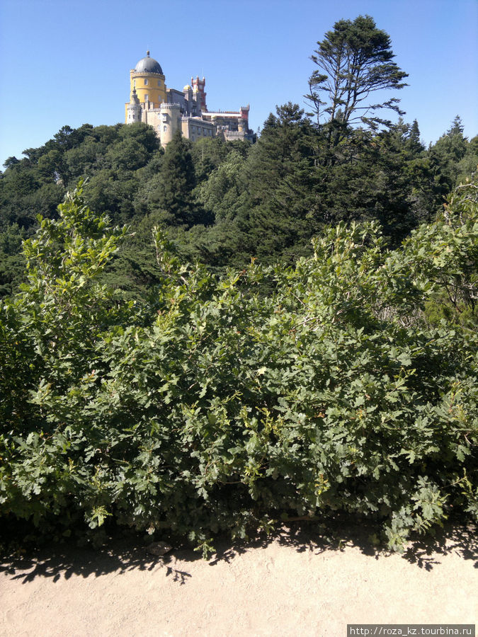вид на дворец Пена с трона королевы Синтра, Португалия