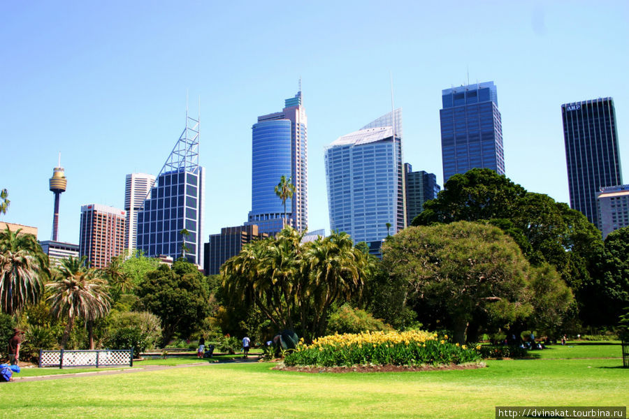 Центральный парк в Сиднее Сидней, Австралия