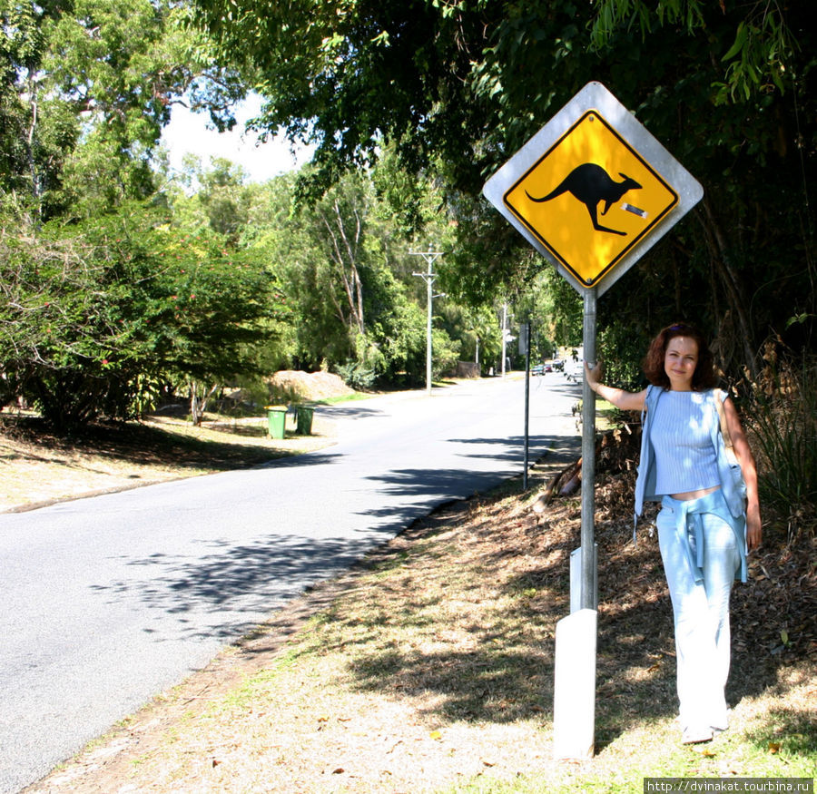 знаки все объясняют Палм-Коув, Австралия