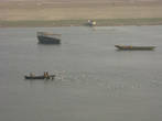 За лодками на Ганге летят стаи назойливых чаек. Но нас они, почему-то, не преследовали.