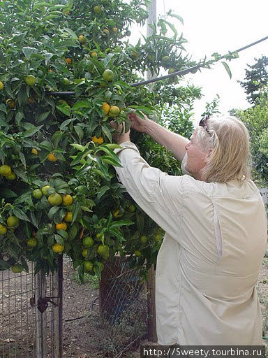 Деревушка Пикрис, раскопки Элефертра и монастырь Аркади. Остров Крит, Греция