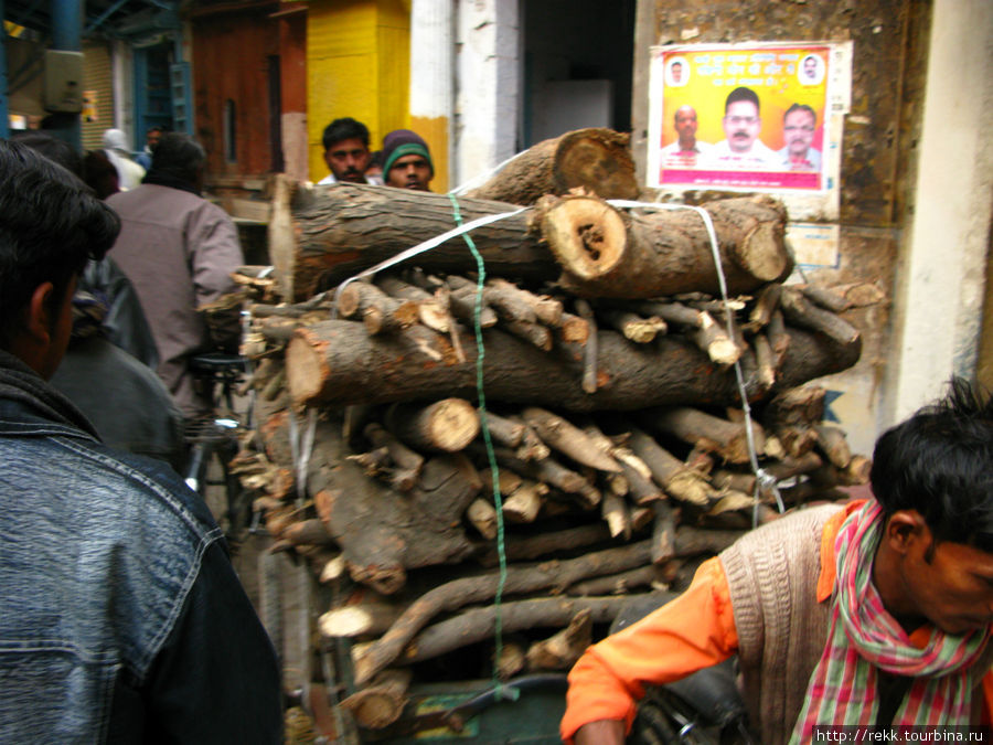 Вот так дрова доставляют на берег Варанаси, Индия