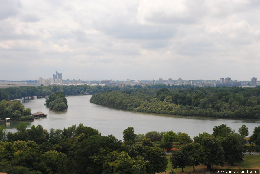 слияние Саввы и Дуная Белград, Сербия