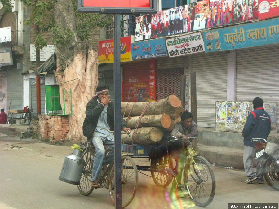Везут дерево для кремации Варанаси, Индия