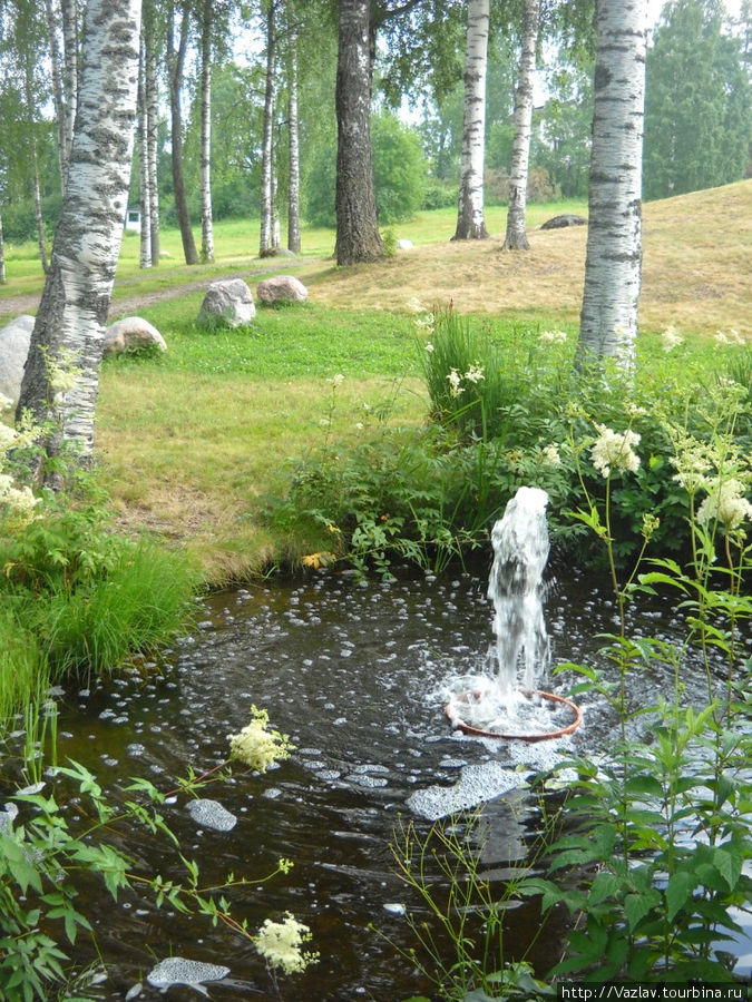 Родничок Настола, Финляндия