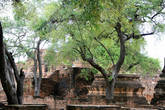 Ват Пхра Рам в Аюттхае частично зарос деревьями
