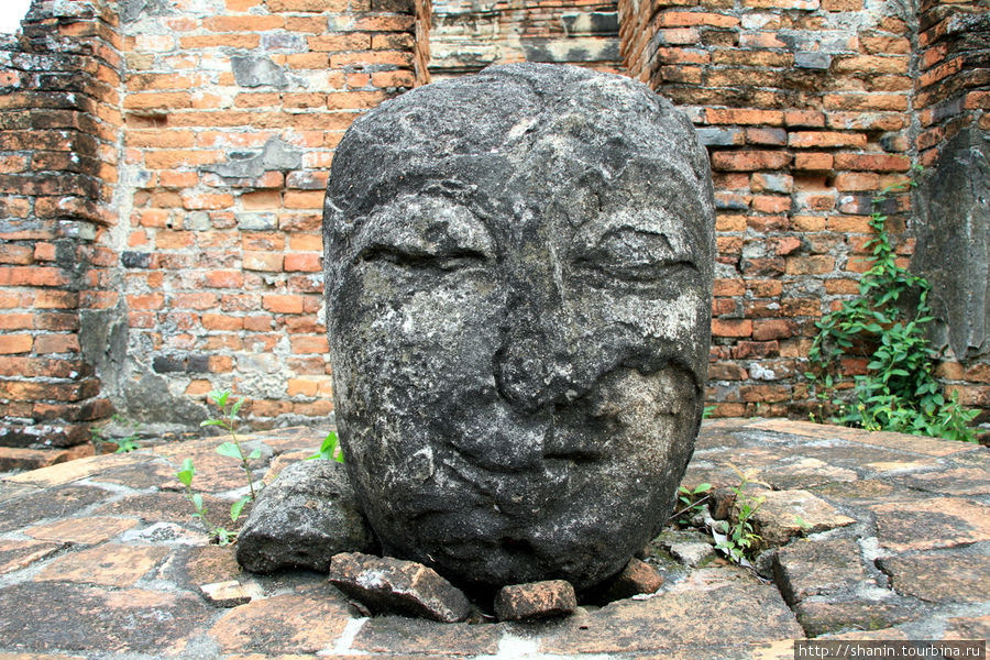 Голова Будды на территории Вата Пхра Рам в Аюттхае Аюттхая, Таиланд