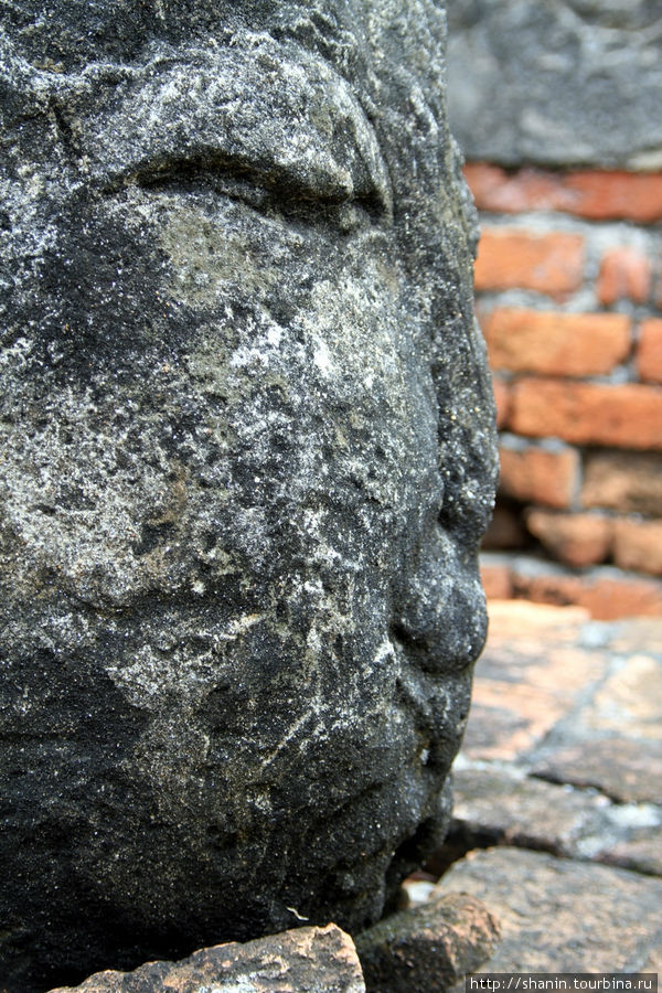 Лицо Будды на территории Вата Пхра Рам в Аюттхае Аюттхая, Таиланд