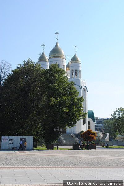 Лето на центральной площади города Калининград, Россия