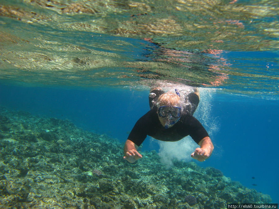 Египет. Only UNDERWATER!!! Хургада, Египет