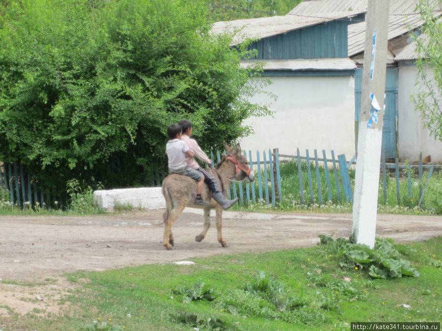 Киргизия или страна, где живут очень хорошие люди Киргизия