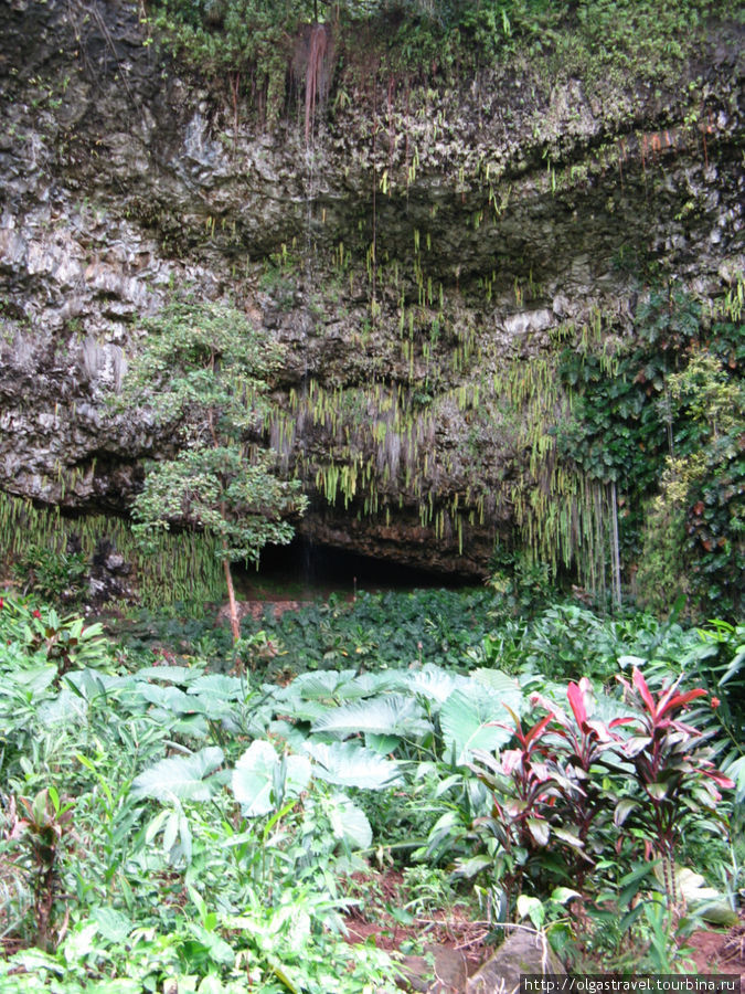 Вечнозеленый папоротниковый грот. Остров Кауаи, CША