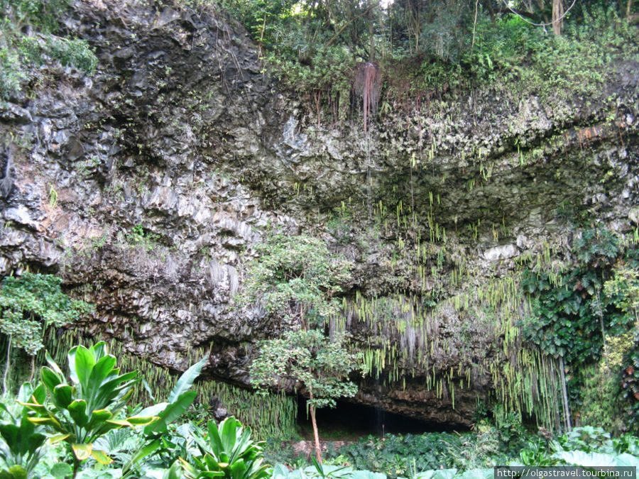 Вечнозеленый папоротниковый грот. Остров Кауаи, CША