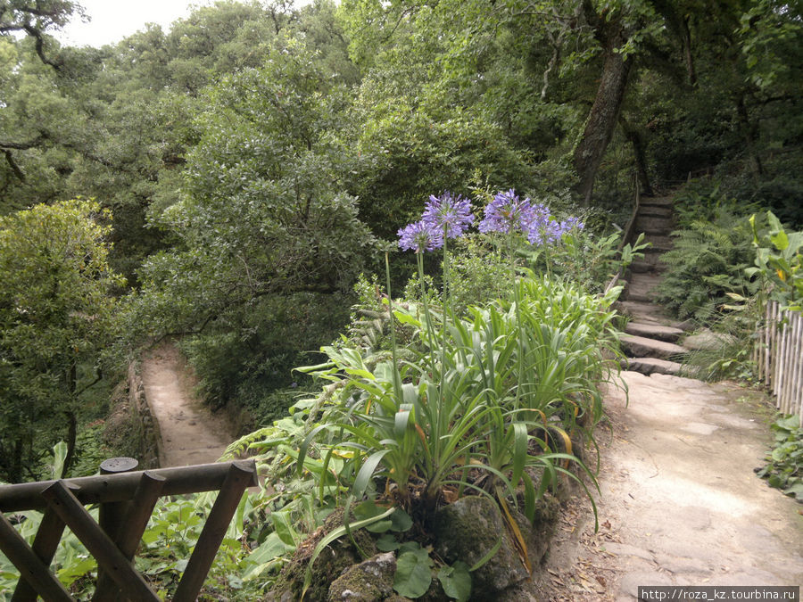 Monserrate Palace and gardens (Дворец и парк Монсерат) 1 Синтра, Португалия