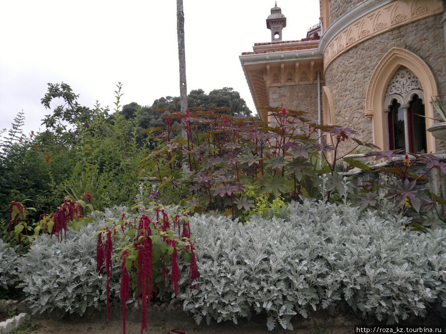 Monserrate Palace and gardens (Дворец и парк Монсерат) 2 Синтра, Португалия