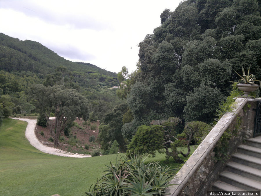 Monserrate Palace and gardens (Дворец и парк Монсерат) 2 Синтра, Португалия