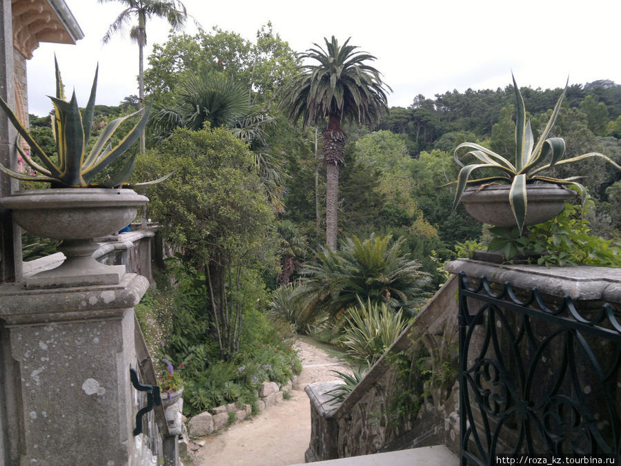 Monserrate Palace and gardens (Дворец и парк Монсерат) 2 Синтра, Португалия