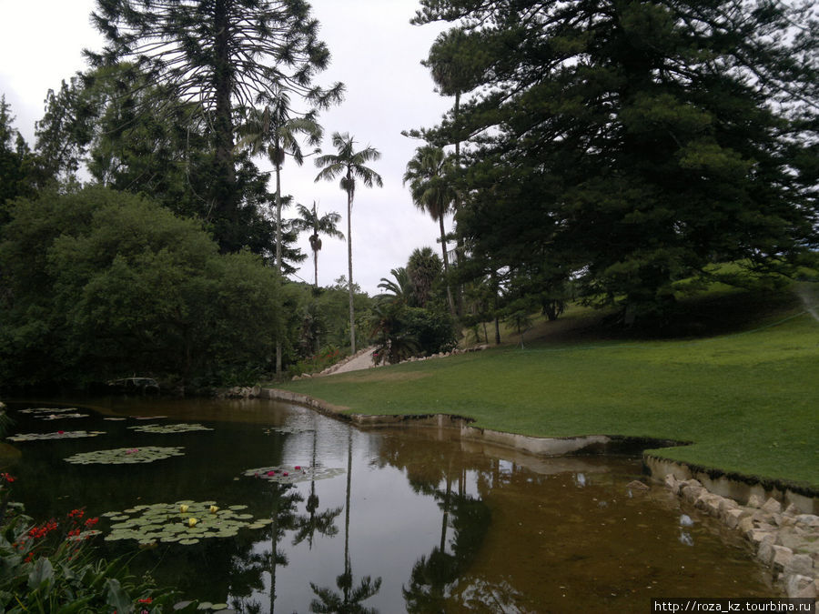 Monserrate Palace and gardens (Дворец и парк Монсерат) 2 Синтра, Португалия