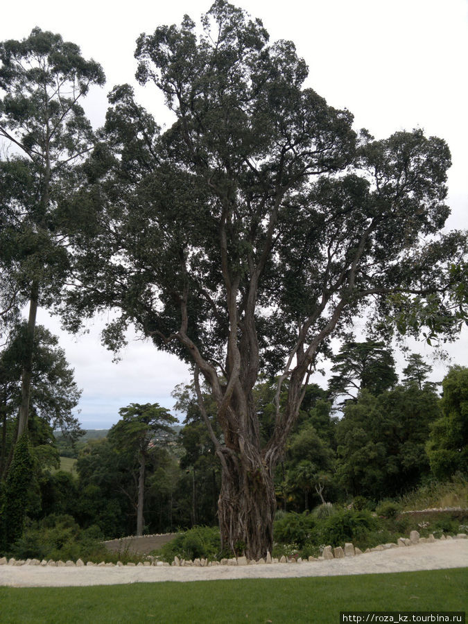 Monserrate Palace and gardens (Дворец и парк Монсерат) 2 Синтра, Португалия