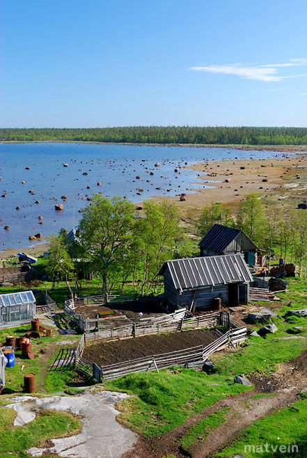 Карельские медвежьи истории Республика Карелия, Россия