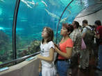 Барселонский аквариум.