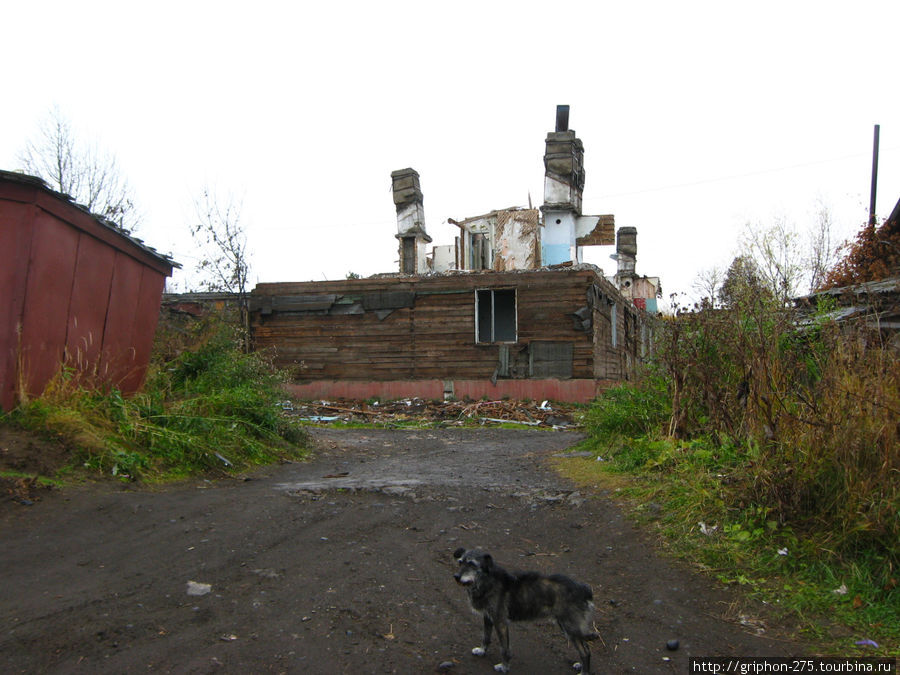 Камчатка Камчатский край, Россия