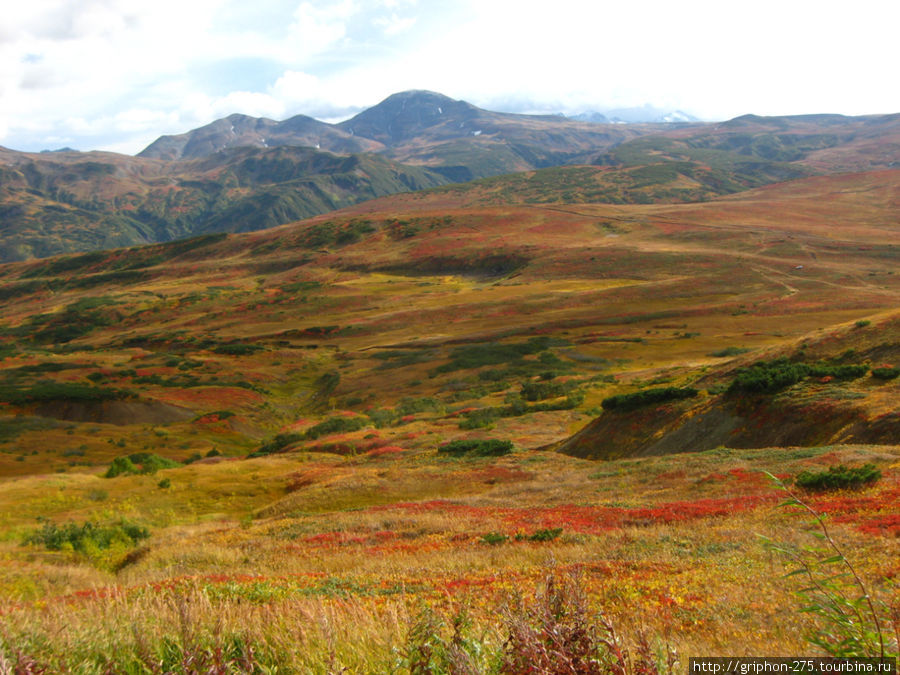 Камчатка Камчатский край, Россия