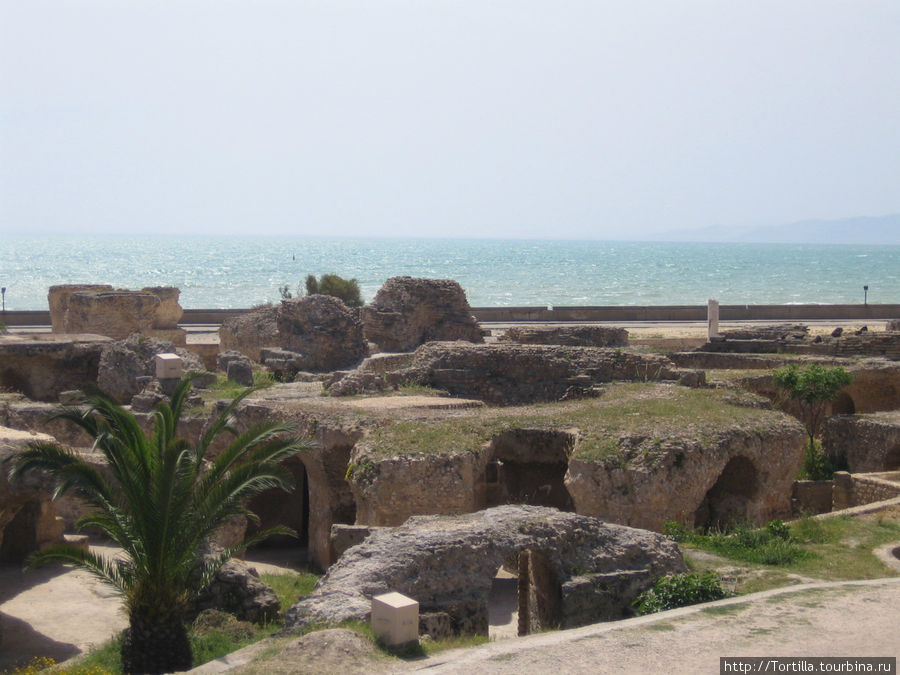 Карфаген все таки разрушен Тунис, Тунис