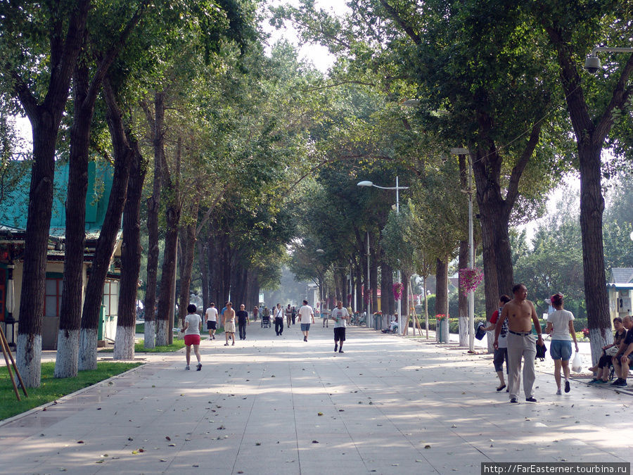 Утро в парке имени Сталина на набережной Харбина Харбин, Китай