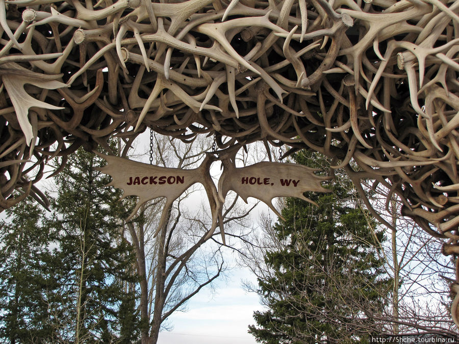 табличка на воротах из рогов оленя — входе парк-мемориал Джоржа Вашингтона Джексон, CША
