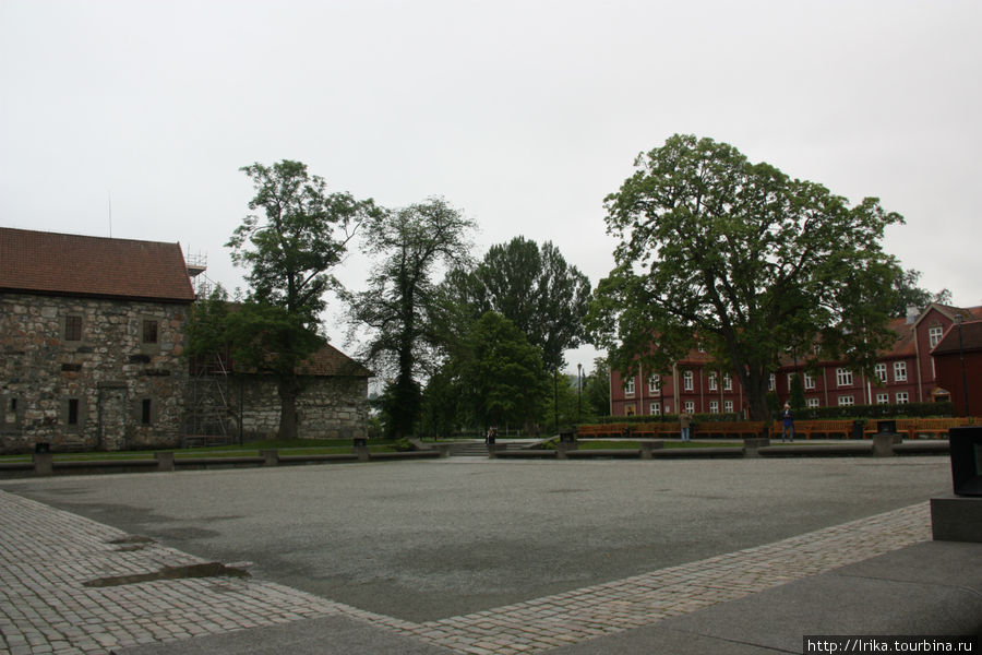 Вчерняя прогулка Тронхейм, Норвегия