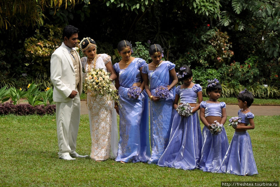 У этой компании на лужайке у главного входа в Королевский Ботанический Сад — европеизированный стиль одежды, хотя нетрудно заметить влияние кандийского костюма в одежде невесты и ее подружек: кандийское сари с баской (пояс-оборка вокруг талии). Шри-Ланка