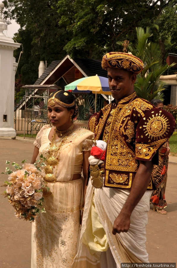 Сари невесты, конечно, нарядное, но все взоры притягивает к себе жених в блестящей на солнце шитой курточке и шапочке, повторяющей фасон парадного костюма кандийских королей, принцев и их подданых. Шри-Ланка