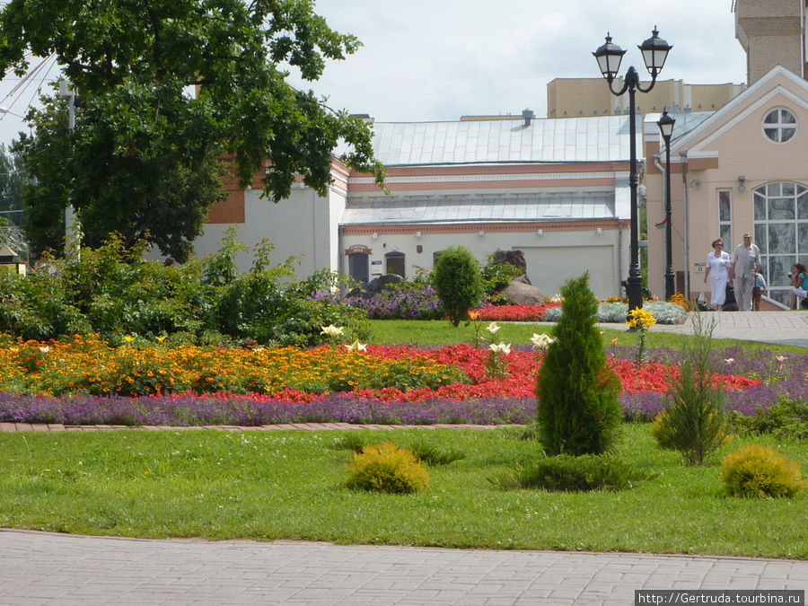 Количество цветов на улицах восхищает! Витебск, Беларусь